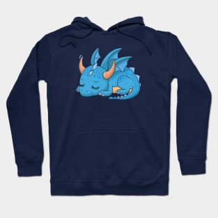 Cute Baby Sleeping Dragon Hoodie